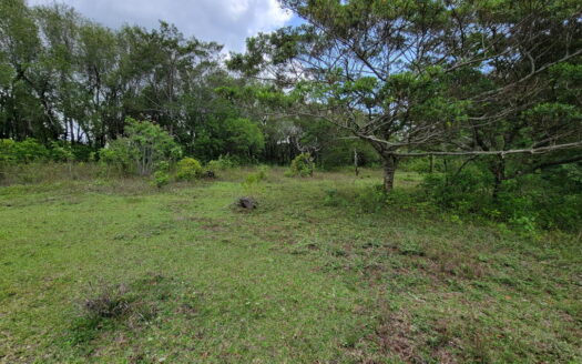 Se vende espectacular terreno con 17407m2 para su proyecto de Montaña! Heredia. Cod: 23121