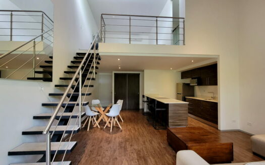 Se alquila hermoso apartamento tipo loft en Brasil de Santa Ana amoblado. Cod 23405